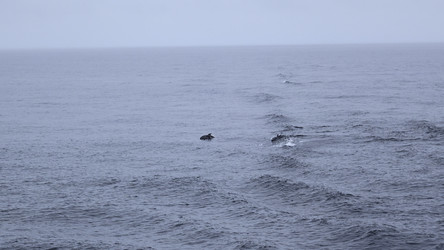 Similar image 22466923