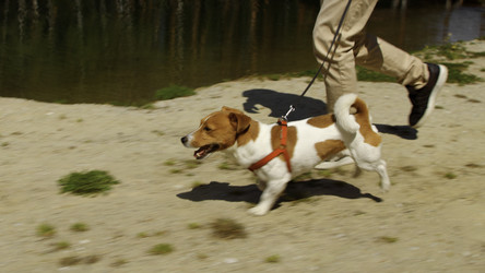 Similar image 22467100