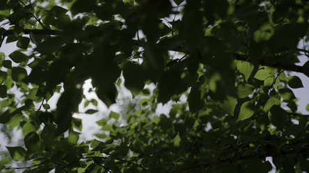 Similar image 22467191