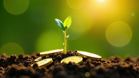 Similar image 22467761