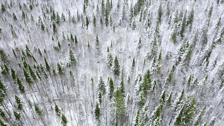 Similar image 22465673