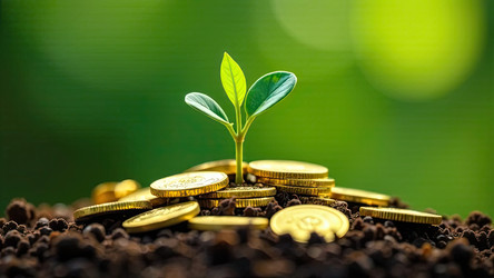 Similar image 22468362