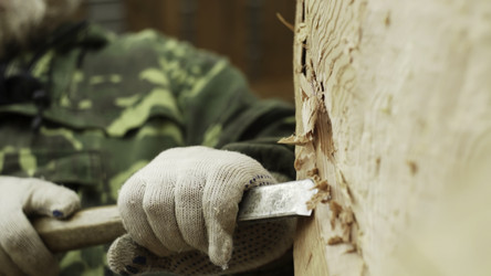 Similar image 22466561