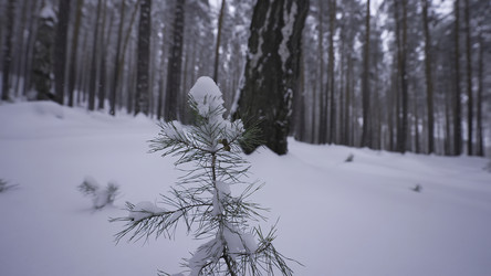 Similar image 22466620