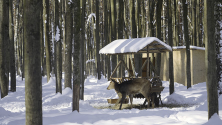 Similar image 22466665