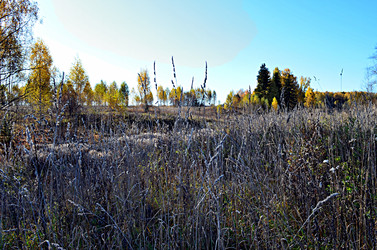 Similar image 22453861