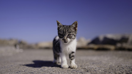 Similar image 22466877