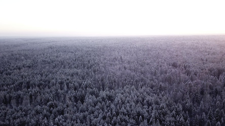 Similar image 22466939