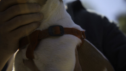 Similar image 22466681