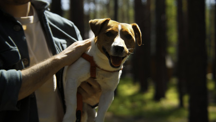 Similar image 22461394