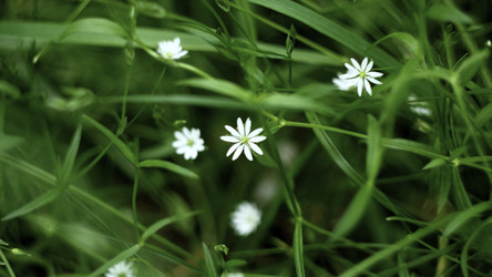 Similar image 22466504