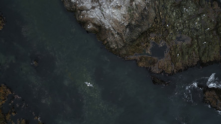 Similar image 22461351