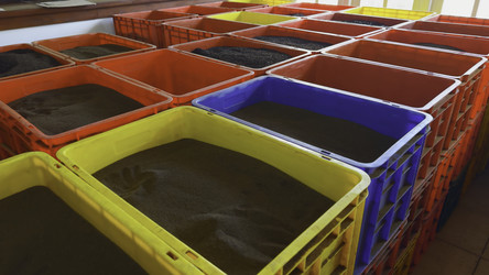 Similar image 22465550