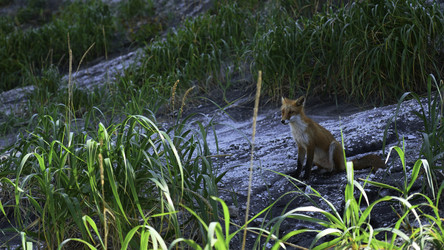 Similar image 22465718