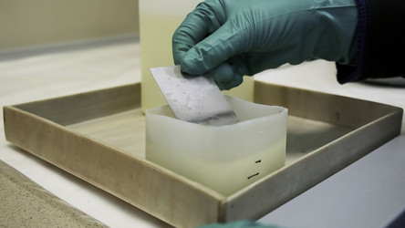 Similar image 22466773