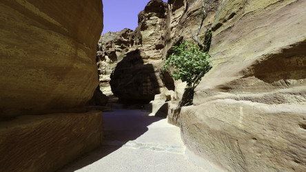 Similar image 22467268