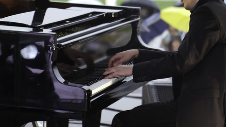 Similar image 22465584