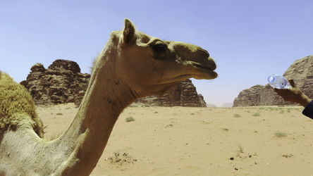 Similar image 22465687