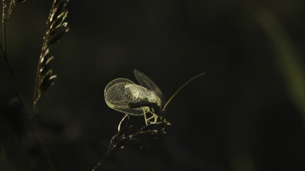 Similar image 22466637