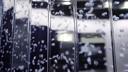 Similar image 22466820