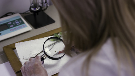 Similar image 22467194