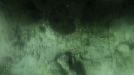 Similar image 22467195