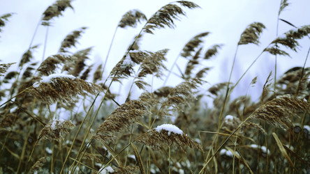 Similar image 22467269