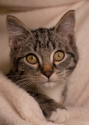 Similar image 22461368