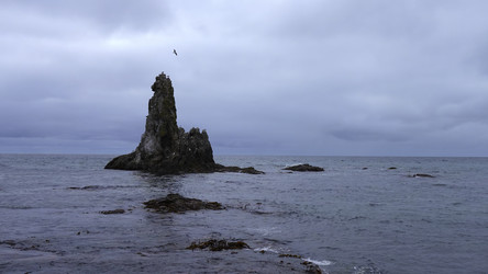 Similar image 22465615