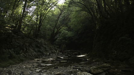 Similar image 22466650