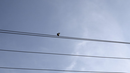 Similar image 22466742