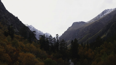 Similar image 22466910