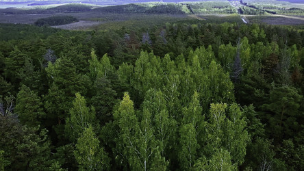 Similar image 22467151