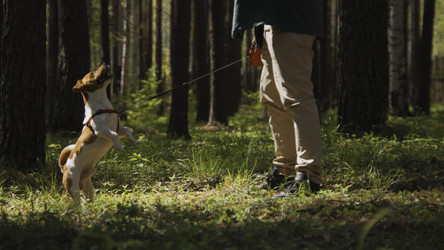 Similar image 22467377