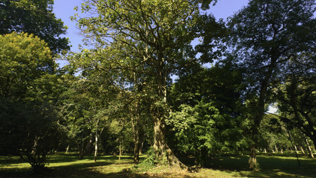 Similar image 22466579