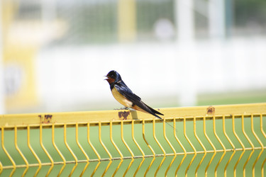 Similar image 22452300