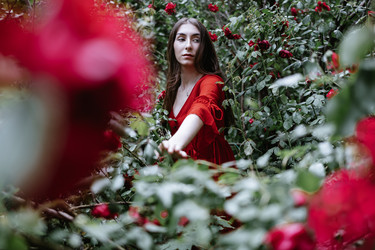 Similar image 22466341