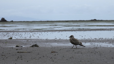 Similar image 22465512