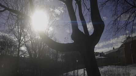 Similar image 22465539