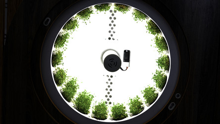 Similar image 22466536