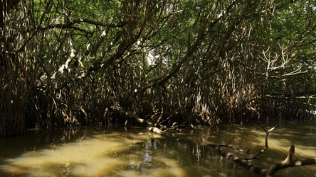 Similar image 22466564