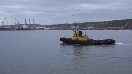 Similar image 22466835