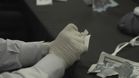 Similar image 22466929