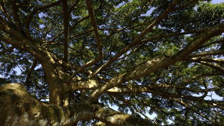 Similar image 22467106