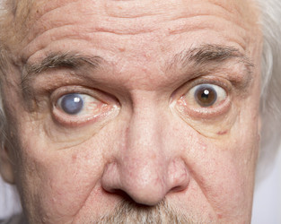 Similar image 22452452