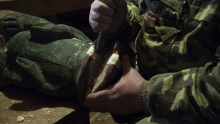 Similar image 22465646