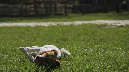 Similar image 22465766