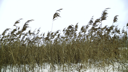 Similar image 22467090