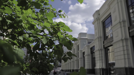 Similar image 22467348