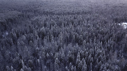 Similar image 22473441